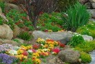 Rosebery VICplanting-garden-and-landscape-design-69.jpg; ?>