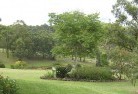 Rosebery VICresidential-landscaping-40.jpg; ?>